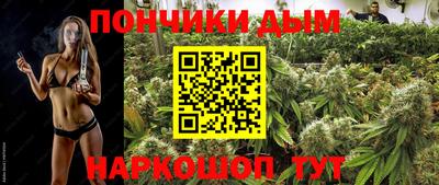 хмурый Шелехов