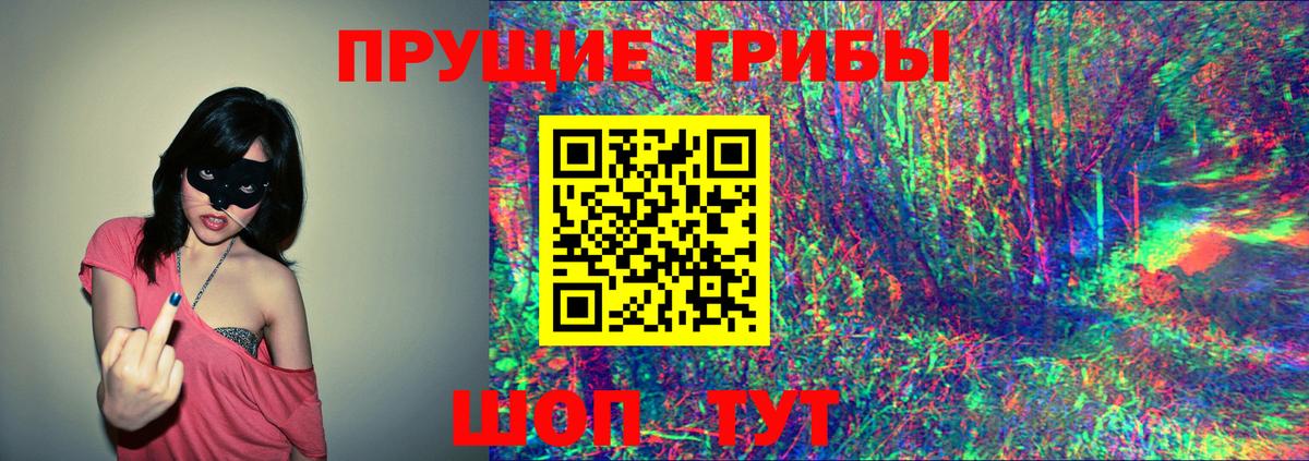 купить   Галлюциногенные грибы мухоморы  Вход с VPN  Курганинск  Галлюциногенные грибы MAGIC MUSHROOMS 